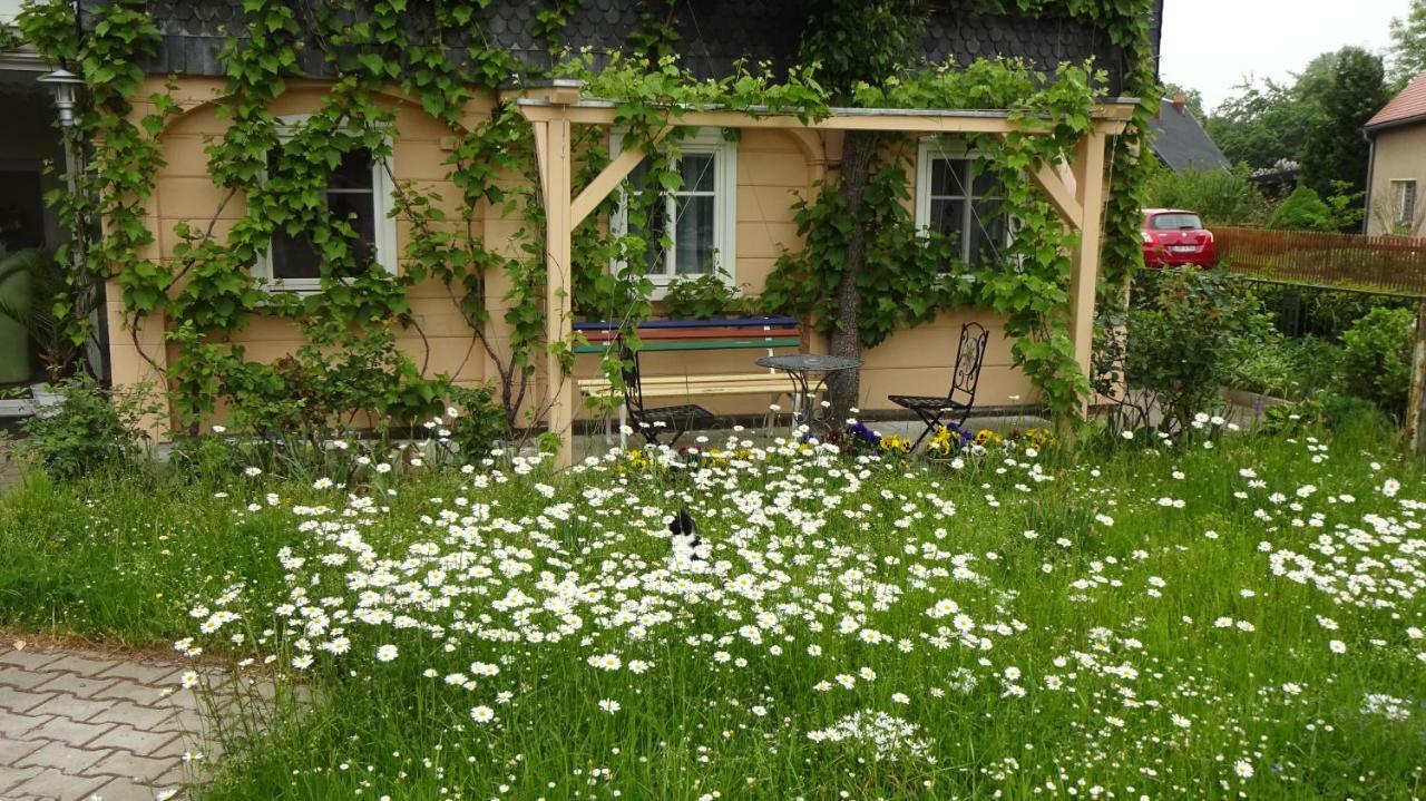 Privatzimmer Lehmann Kottmar Exterior photo